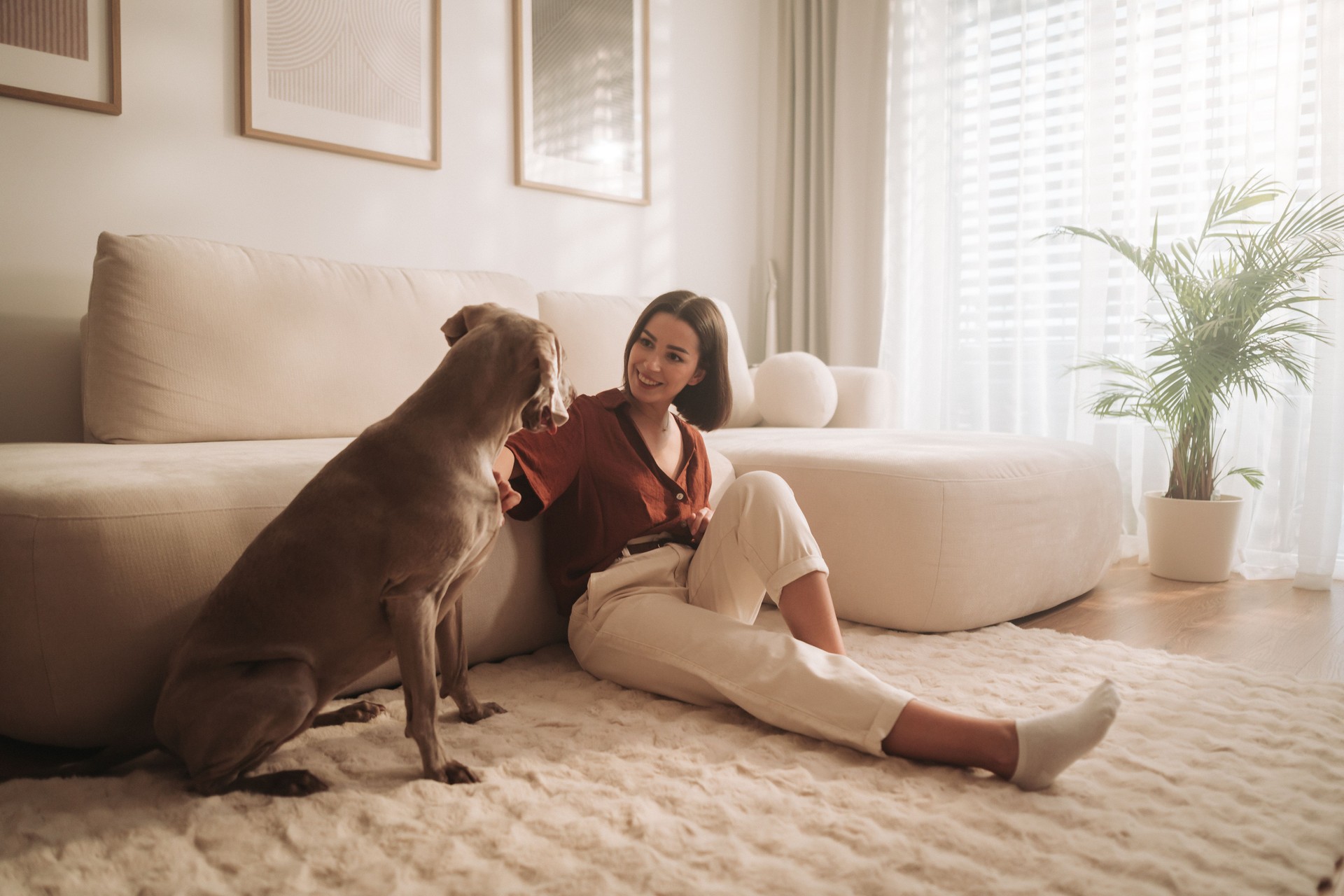 Cozy Moment Woman Enjoys Quality Time with Dog in a Bright Living Room